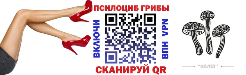 Псилоцибиновые грибы мухоморы  blacksprut зеркало  Прокопьевск 