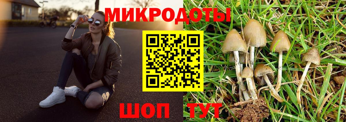 Галлюциногенные грибы Psilocybine cubensis  Вход с VPN  Прокопьевск 
